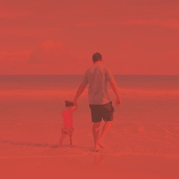 Te vas de vacaciones y quieres evitar robos o ocupas.