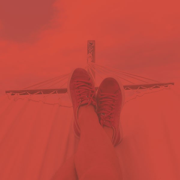 Te vas de vacaciones y quieres evitar robos y quieres estar tranquil@.